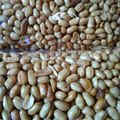 Cooksnap dari Aisyah Rahman untuk resep Kacang asin
