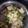 Pinal Patel's cooksnap of when they made બેસન સોજી ના ખમણ (Besan Sooji Khaman Recipe In Gujarati).