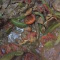 Mae Ann's cooksnap of when they made Pepper Steak.