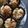 Cooksnap dari samara akhadia untuk resep Muffin Pisang Ambon