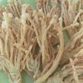 Cooksnap dari Maria Andella untuk resep Enoki Crispy Rumahan