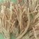 Cooksnap dari Maria Andella untuk resep Enoki Crispy Rumahan