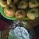 Cooksnap dari Sinta Dev untuk resep Donat lembut tanpa kentang