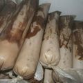 Cooksnap dari Nova Destiswastikasari untuk resep Es Mambo Coklat (Aiskrim Malaysia)