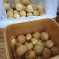 Cooksnap dari NOpha Putra untuk resep Timus Ubi jalar kuning