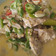 Cooksnap dari suji untuk resep 20. Tempe di Jangan Lombok