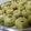 Kavita Lathigara's cooksnap of when they made ધરવાડી પેંડા (karnatak style dharwadi penda recipe in gujarati).