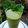 Cooksnap dari Aang Hudaya untuk resep Smoothie bayam