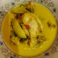Cooksnap FZ Adzlin semasa beliau membuat Ikan Baung masak lemak cili api.