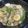 El cooksnap de Manel63 cuando hizo Merluza en salsa verde o a la vasca.