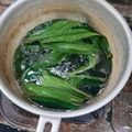 Cooksnap dari Diah Surya untuk resep Sirup pandan homemade