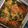 Cooksnap dari OXAbake untuk resep Ayam Woku Kemangi