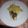 El cooksnap de Aniceto Pérez cuando hizo Merluza gratinada con pesto.