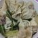 Cooksnap dari camelia untuk resep Pangsit Kuah dan sayur
