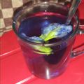 Cooksnap dari Nila Yunisha untuk resep Teh Biru Bunga Telang