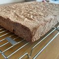 Sásdi Melinda - Habverő és fakanál Cooksnap-ja, amikor elkészítette a(z) Kakaós piskóta receptet.