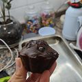 El cooksnap de paofranzon cuando hizo Muffins de chocolate veganos y saludables.