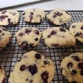Juanita Drake's cooksnap of when they made Blueberry Muffin Cookies.