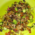 Cooksnap dari Ani untuk resep Tumis Teri Bawang Cabai #pr_wantuteri