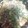 El cooksnap de Inma Gv cuando hizo Menestra de verduras en 20 minutos.