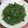 詩貴妃 的 素炒龍鬚菜 cooksnap
