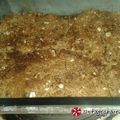 Cooksnap από teabas στη συνταγή Apple crumble