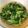 Yichen 的 清炒萵苣 cooksnap