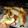 El cooksnap de Andrea Ramirez cuando hizo Empanadas de acelga con queso.