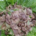 Cooksnap dari Jaya Soesanto untuk resep Salad Sayur Sehat MonsteHunge