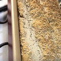 El cooksnap de Irma Fabriccini cuando hizo Pan sin gluten - ¡súper esponjoso y sabroso!.