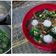 Cooksnap dari Eka Purwaningsih untuk resep sop baso ikan