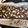 Cooksnap dari nindydhanes untuk resep Fudgy Brownies