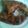 Cooksnap dari Nisa Ica untuk resep Ayam bakar madu 🍗(teflon)