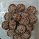 Cooksnap dari lestari widiastuti untuk resep Chocolate ‘Tempe’ Cookies