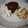 El cooksnap de Maria Dolores Fernandez Rodriguez cuando hizo Coulant de chocolate relleno de chocolate blanco.