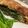 Sonia's cooksnap of when they made Vegetable Wellington.
