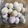Cooksnap dari echyvedder untuk resep Bola Susu | Milk Balls