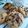 Cooksnap de Cucina per Tutti P sur la recette 🇫🇷 🇬🇧 Cookies made in USA ! GOU008