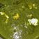 Ruchi Mishra का कुकस्नैप जब उन्होंने पालक पनीर (Palak Paneer Recipe in Hindi) बनाया था।