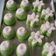 Cooksnap dari heni kusumowati untuk resep Putu ayu empuk dan mudah