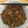 polly 的 螞蟻上樹 cooksnap