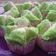 Cooksnap dari Nhye TSuki untuk resep Bolu kukus mekar dan lembut