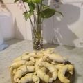 El cooksnap de Elii Rios cuando hizo Medialunas saladas 😋🙌.