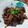 Cooksnap sha semasa beliau membuat Bulgogi beef ala korea.