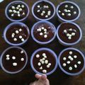Cooksnap dari Atty Swastia untuk resep Silky Puding Coklat Lumer