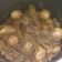Cooksnap dari Tria Camelia untuk resep Gudeg Jogja