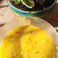 El cooksnap de Carmeta cuando hizo Zumo de naranja y manzana.