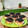 El cooksnap de Sofia Avancini cuando hizo Tortitas negras.