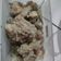 Cooksnap dari Yetty Rusdiana untuk resep Ayam Masak Batahi Lala (Banjar)