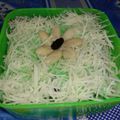 Cooksnap dari Siti Rahmadani untuk resep Dessert box matcha